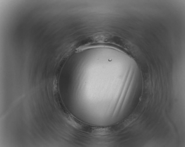 X0000059830081200511041757