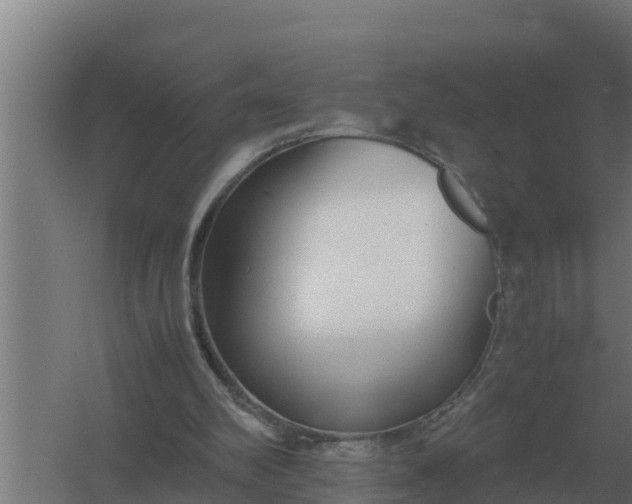 X0000059830102200511041756