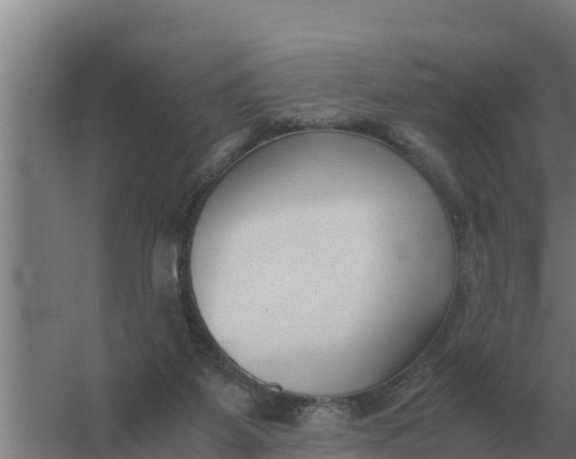 X0000059830115200511041756