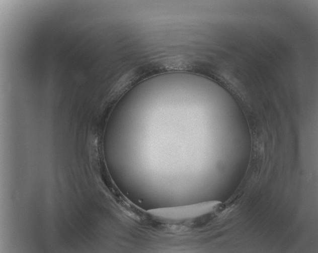 X0000059830117200511041756