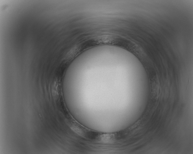 X0000059830126200511041756