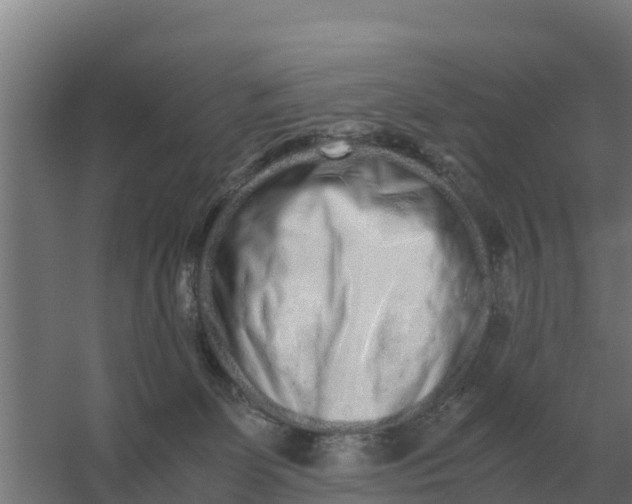 X0000059830131200511041756