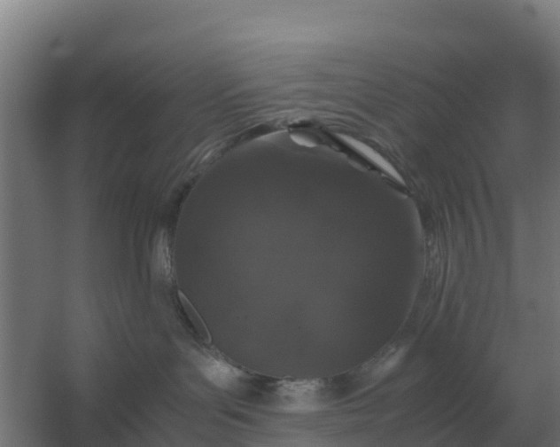 X0000059830143200511041756