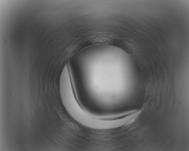 X0000059830187200511041756