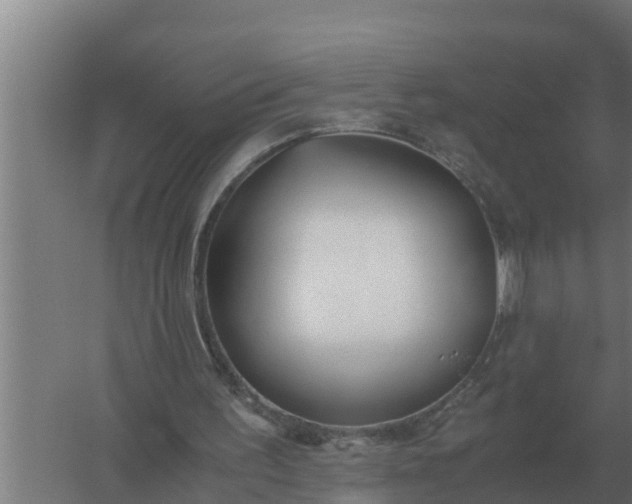 X0000059830195200511041755