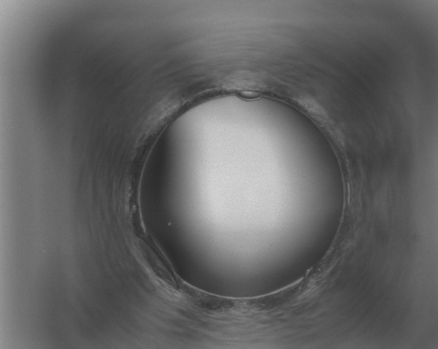 X0000059830201200511041755