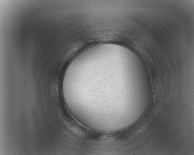 X0000059830207200511041755