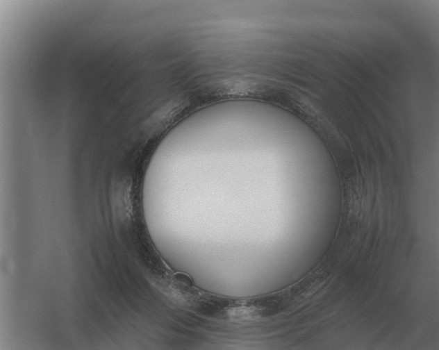 X0000059830216200511041754