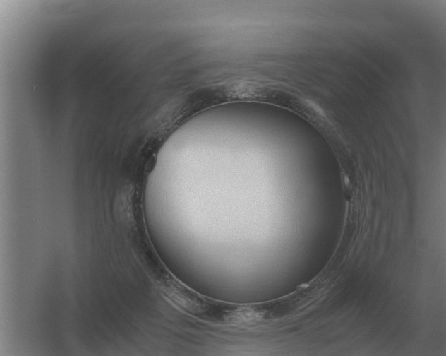 X0000059830217200511041754