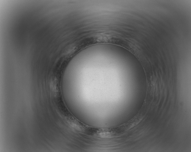 X0000059830228200511041754