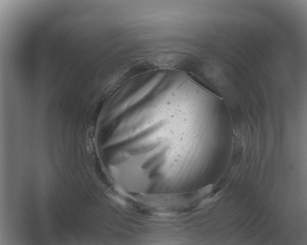 X0000059830237200511041754