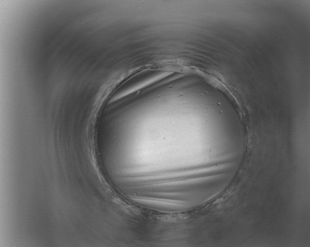 X0000059830241200511041753