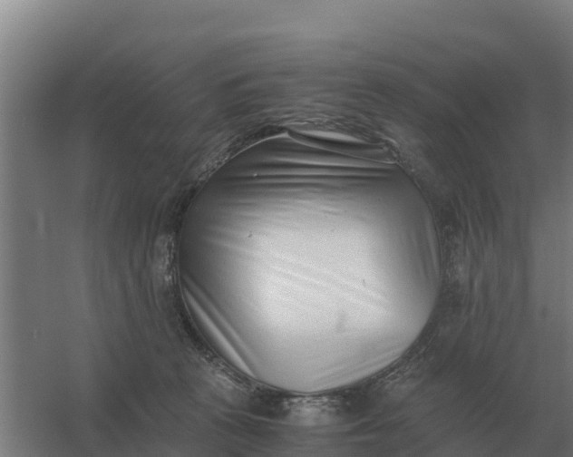 X0000059830273200511041754