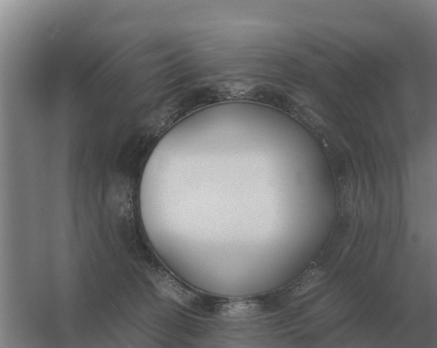 X0000059830274200511041754