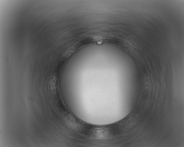 X0000059830275200511041754