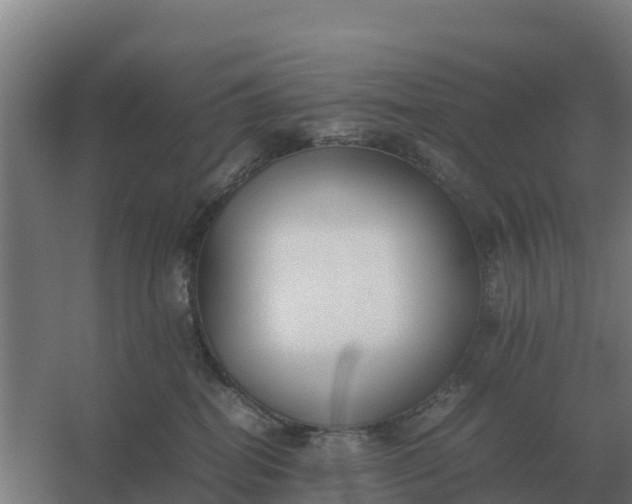 X0000059830282200511041754