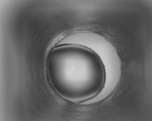 X0000059830293200511041753