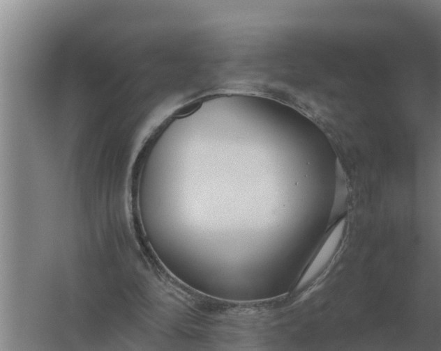 X0000059830294200511041753