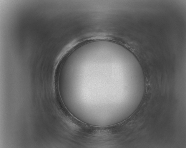 X0000059830296200511041753