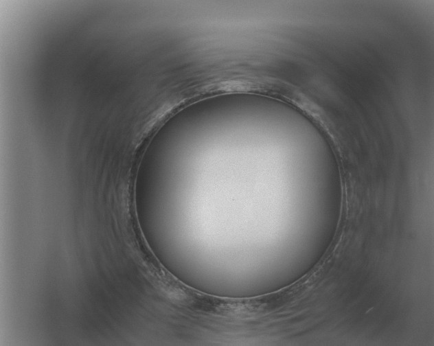 X0000059830297200511041753