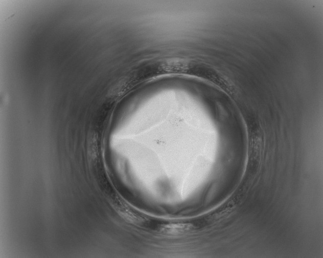 X0000059830323200511041752