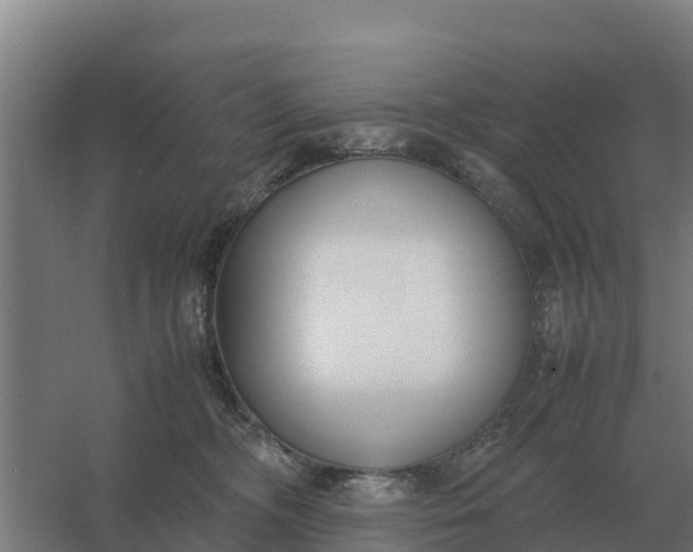 X0000059830326200511041752