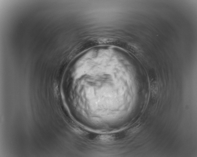 X0000059830327200511041752