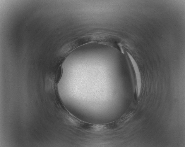 X0000059830333200511041752