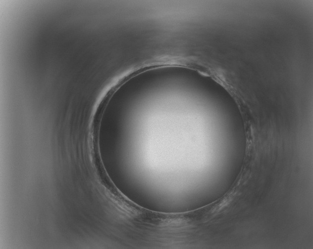X0000059830342200511041751