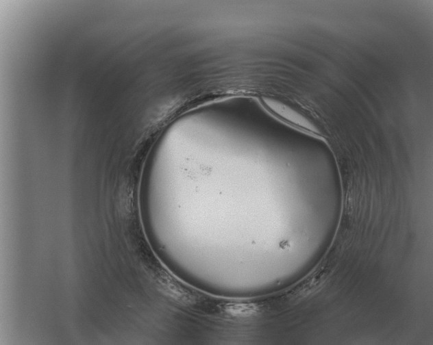 X0000059830355200511041752