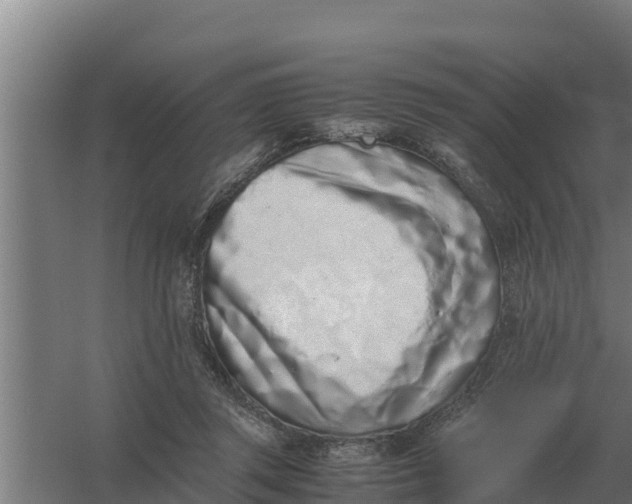 X0000059830357200511041752