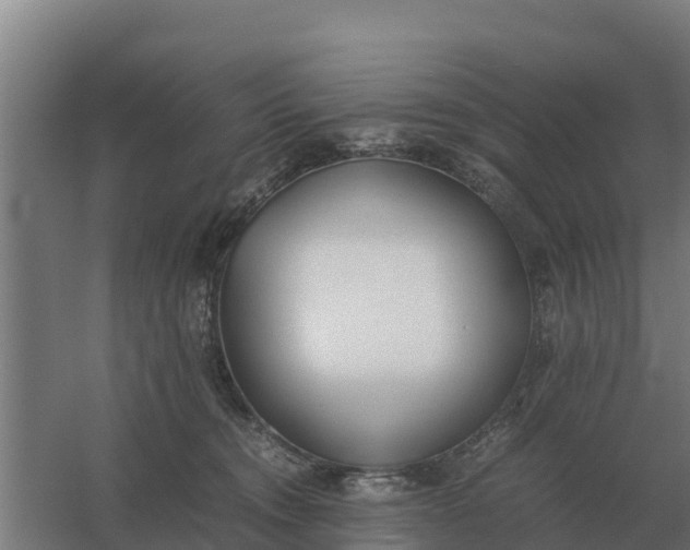 X0000059830372200511041752