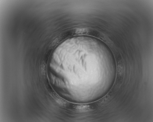 X0000059830375200511041752
