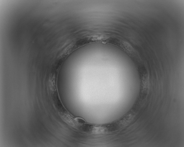 X0000059830376200511041752