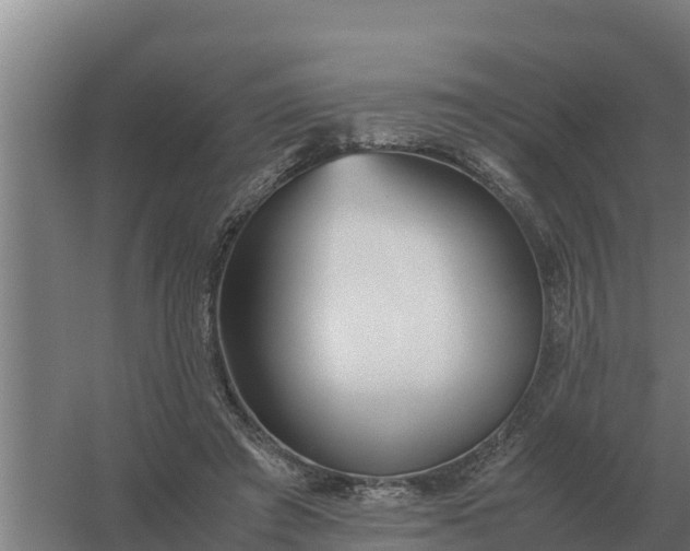 X0000059830401200511041751