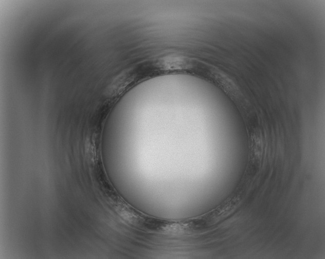 X0000059830422200511041751