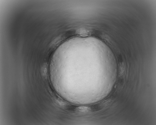 X0000059830427200511041751