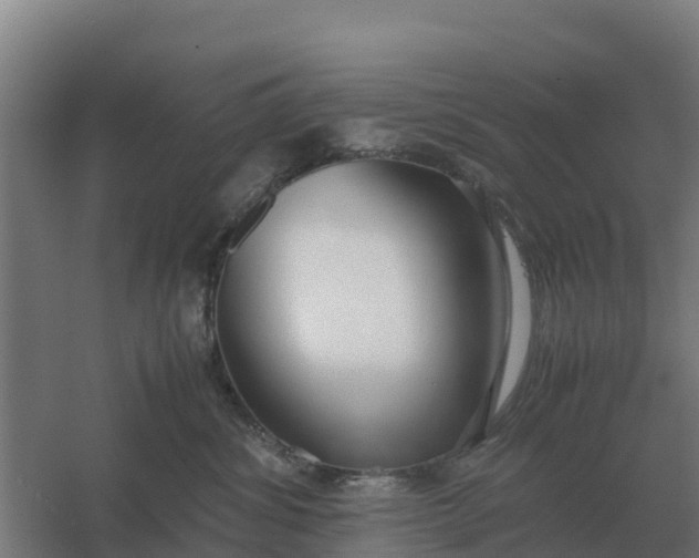 X0000059830428200511041751