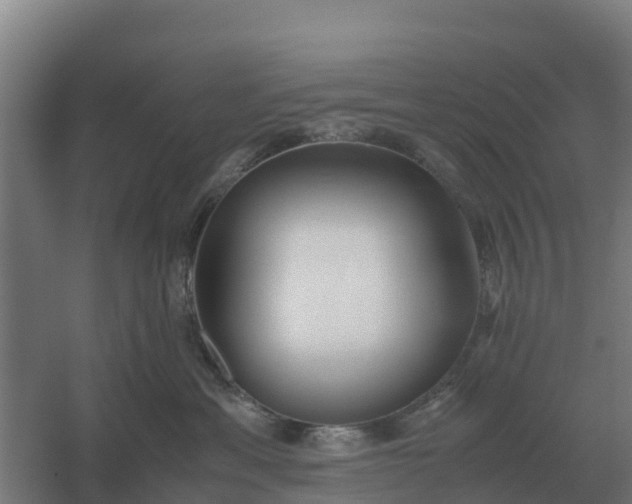 X0000059830429200511041751