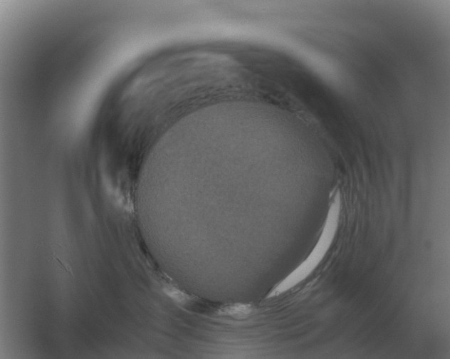 X0000059830431200511041751