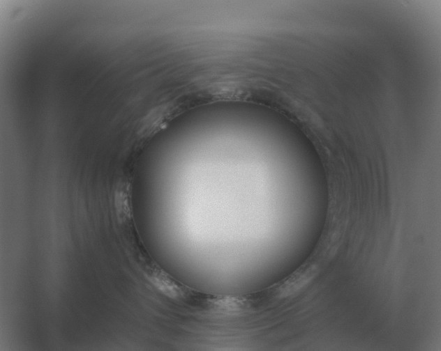 X0000059830432200511041751