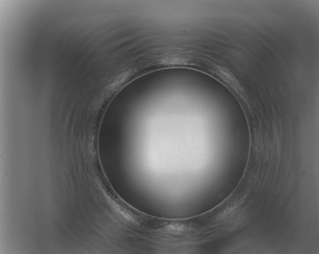 X0000059830441200511041750