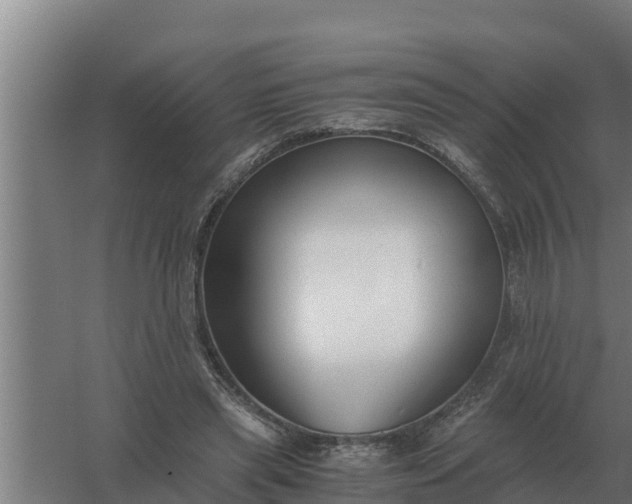 X0000059830445200511041750