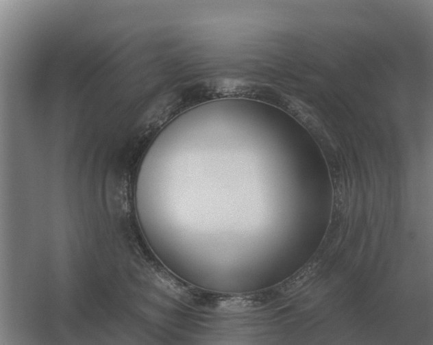 X0000059830470200511041750