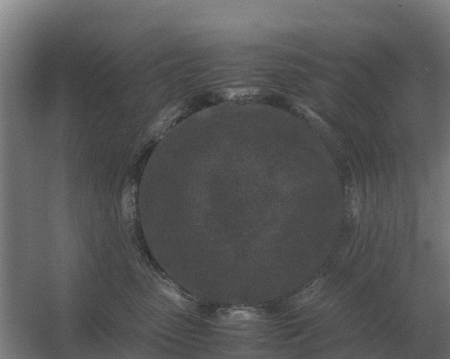 X0000059830475200511041750
