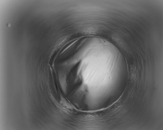 X0000059830494200511041750