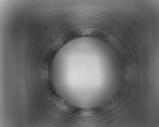 X0000059830510200511041749