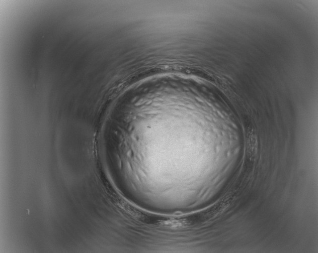 X0000059830511200511041749