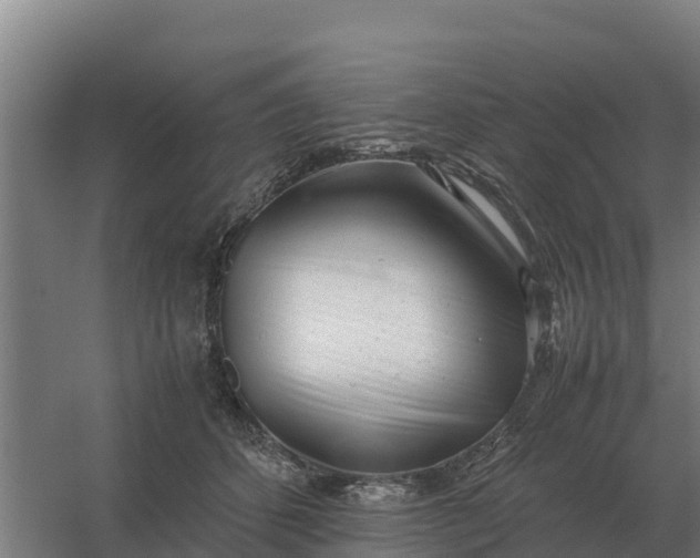 X0000059830512200511041749