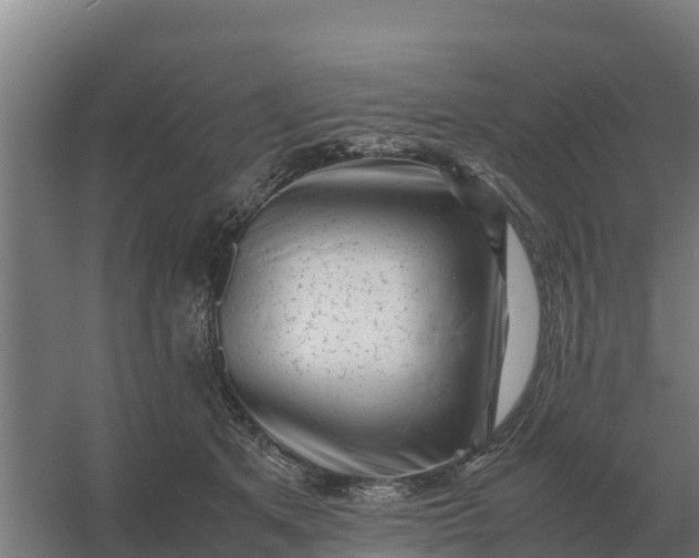 X0000059830513200511041749